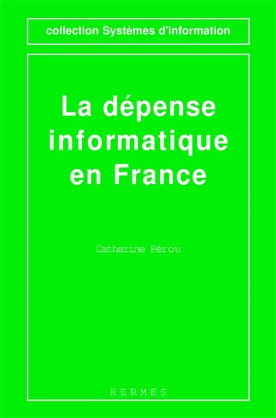 La dépense informatique en France