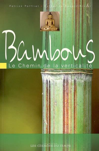 Bambous : le chemin de la verticalité