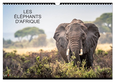 ELEPHANTS D'AFRIQUE (Calendrier mural 2025 DIN A3 vertical), CALVENDO calendrier mensuel : 12 mois avec les éléphants
