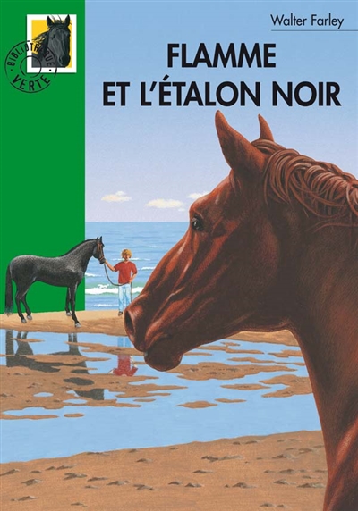 Flamme et l'étalon noir