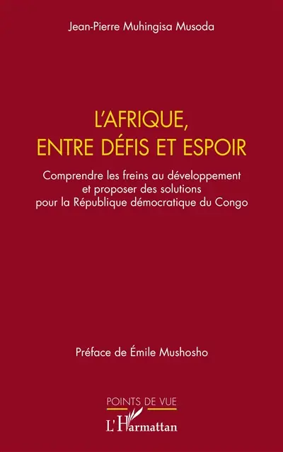 L'Afrique, entre défis et espoir : comprendre les freins au développement et proposer des solutions pour la République démocratique du Congo
