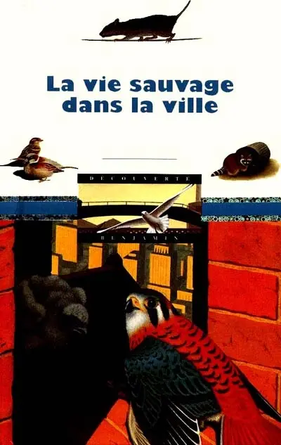 La vie sauvage dans la ville