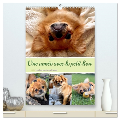 Une année avec le petit...