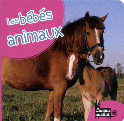 Les bébés animaux