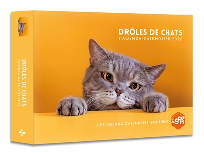 Agenda : Calendrier Drôles...
