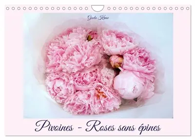 Pivoines : Roses sans épines (Calendrier mural 2026 DIN A4 vertical), CALVENDO calendrier mensuel : Les roses du printemps magnifiquement présentées