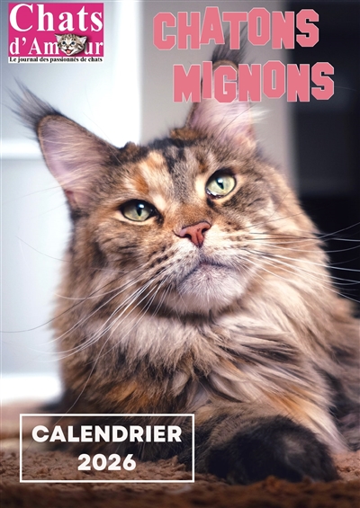 Chatons mignons : calendrier 2026