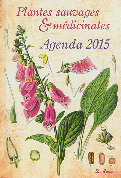 Plantes sauvages & médicinales : agenda 2015