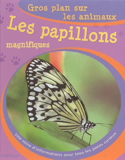 Les papillons magnifiques