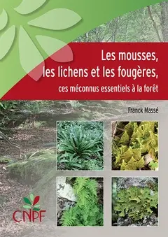 Les mousses, les lichens et les fougères : ces méconnus essentiels à la forêt