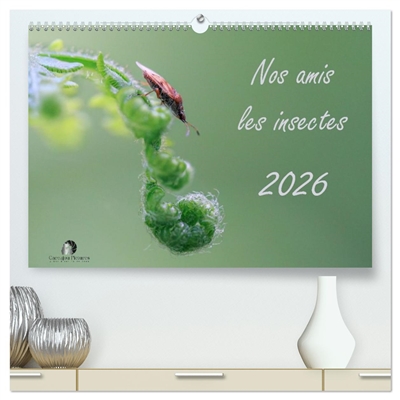Nos amis les insectes...