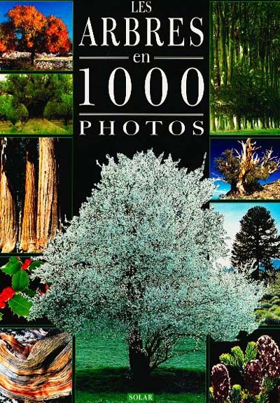 Les arbres en 1000 photos