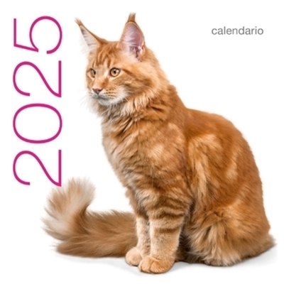 Chats : calendrier mural 2025