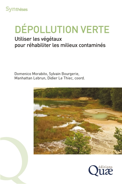 Dépollution verte : utiliser les végétaux pour réhabiliter les milieux contaminés