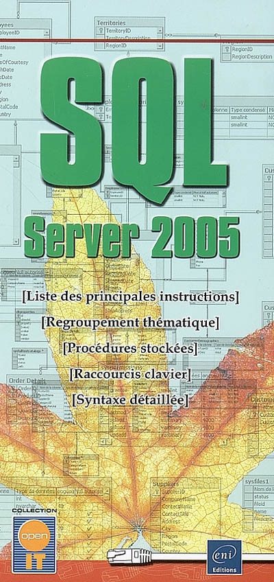 SQL server 2005 : liste des principales instructions, regroupement thématique, procédures stockées, raccourcis clavier, syntaxe détaillée