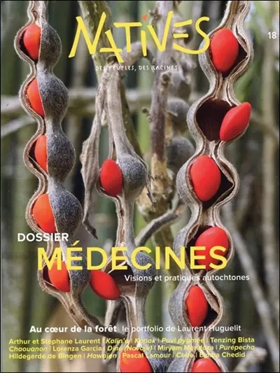 Natives : des peuples, des racines, n° 18. Médecines : visions et pratiques autochtones