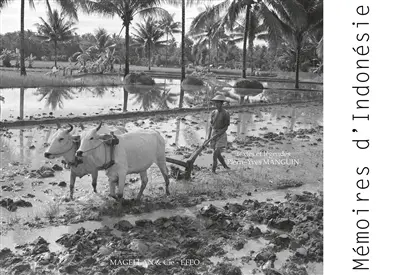 Mémoires d'Indonésie