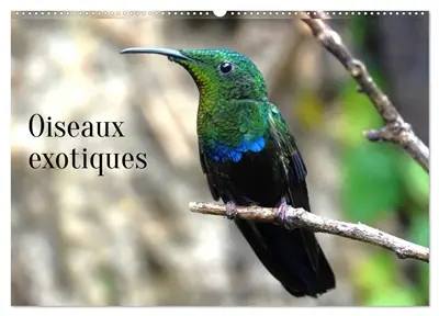 Oiseaux exotiques (Calendrier mural 2026 DIN A2 vertical), CALVENDO calendrier mensuel : Oiseaux exotiques du monde entier