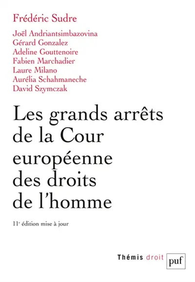 Les grands arrêts de la Cour européenne des droits de l'homme