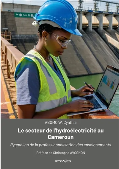 Le secteur de l'hydroélectricité au Cameroun : Pygmalion de la professionnalisation des enseignements