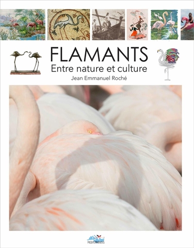 Flamant : entre nature et culture