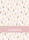 Le cahier de Josephine :...