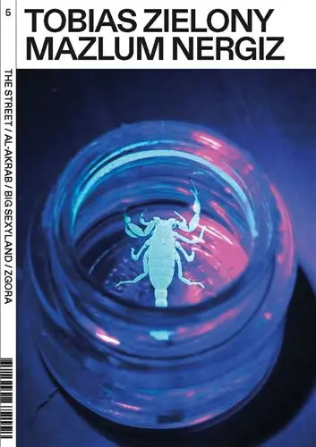 Tobias Zielony The Fall (Vol. 5)
