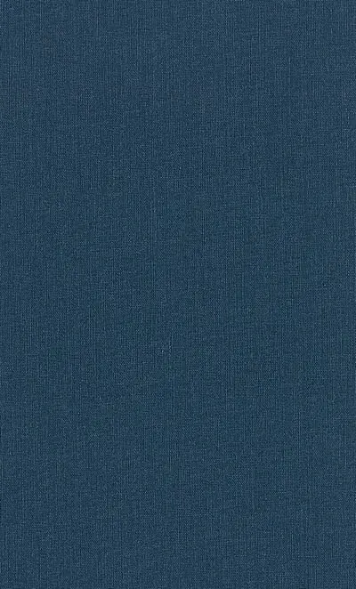 Le citoyen, l'éthique, la sanction : de l'évolutionnisme social à l'humanisme pénal