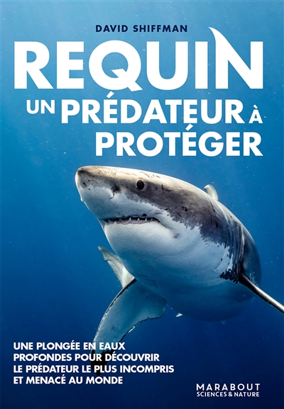 Requin : un prédateur à protéger