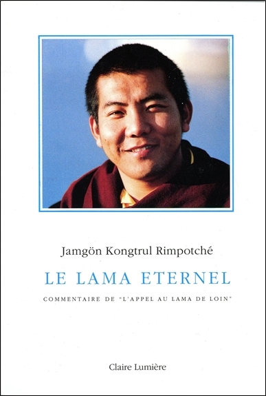 Le Lama éternel : commentaire de l'Appel au lama de loin donné à Dhagpo Kagyu Ling en août 1990