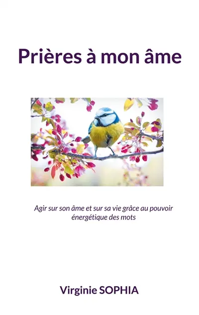 Prières à mon âme : Agir sur son âme et sur sa vie grâce au pouvoir énergétique des mots