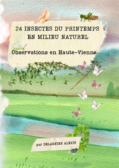 24 Insectes du Printemps