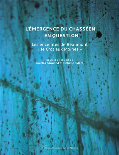 L'émergence du chasséen en question : les enceintes de Beaumont : le Crot aux moines (Yonne)