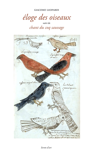Eloge des oiseaux. Chant du coq sauvage