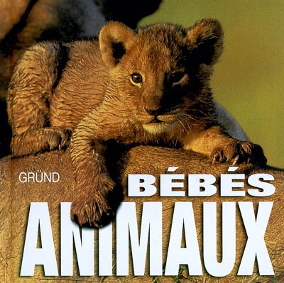 Bébés animaux