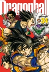 Dragon Ball : perfect...