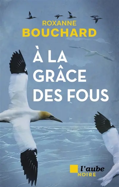 A la grâce des fous