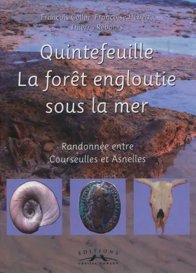 Quintefeuille, la forêt engloutie sous la mer : randonnée entre Courseulles et Asnelles