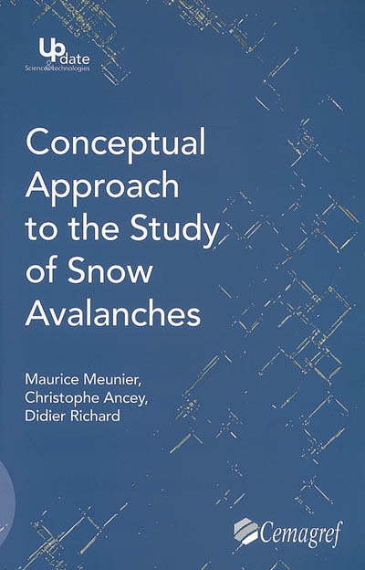 Conceptual approach to the study of snow avalanches