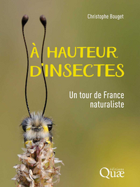 A hauteur d'insectes : un...