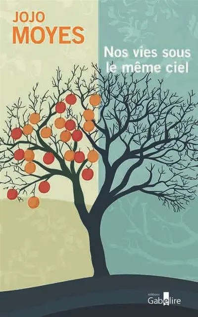 Nos vies sous le même ciel