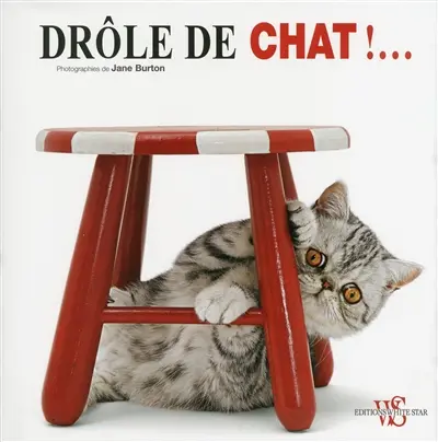 Drôle de chat !...
