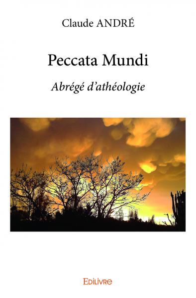 Peccata mundi : Abrégé d’athéologie