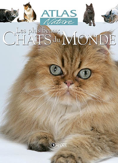 Les plus beaux chats du monde