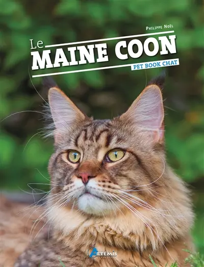 Le maine coon