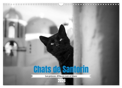 Chats de Santorin : Les...