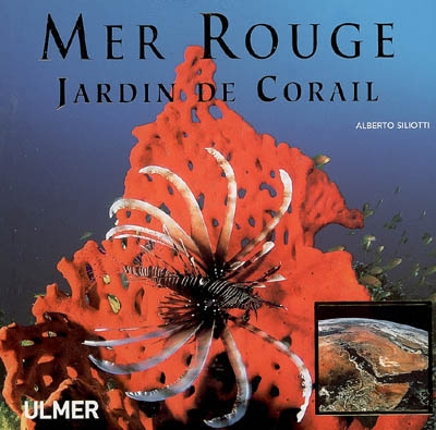 Mer Rouge : jardin de corail