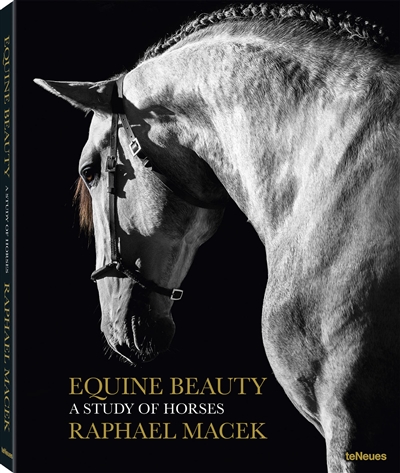 Equine beauty : a study of horses