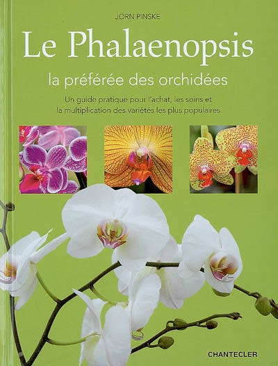 Le phalaenopsis, la...