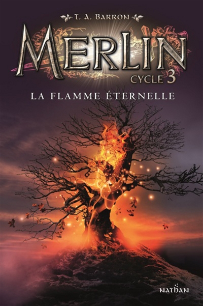 Merlin : cycle 3. Vol. 3. La flamme éternelle